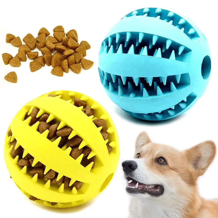 Soft Elastic Chew Ball for Dogs – Distributor