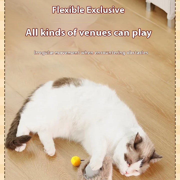 Interactive Electric Cat Ball – USB Rechargeable Toy