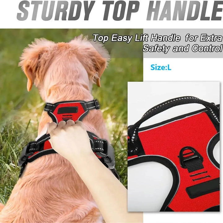 Dog Collars Harnesses Large Vests Pet Leash