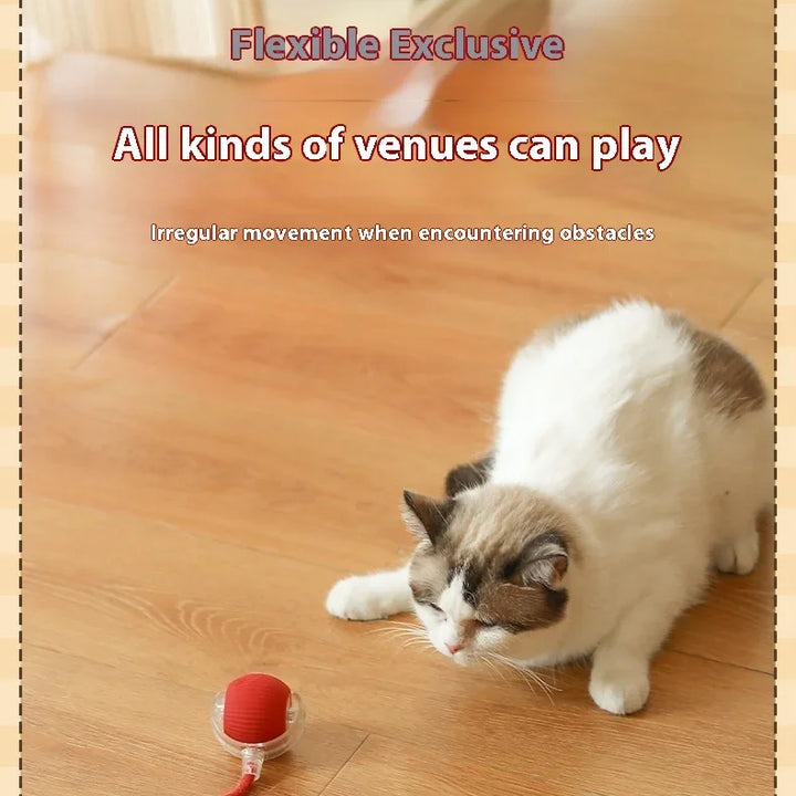 Interactive Electric Cat Ball – USB Rechargeable Toy