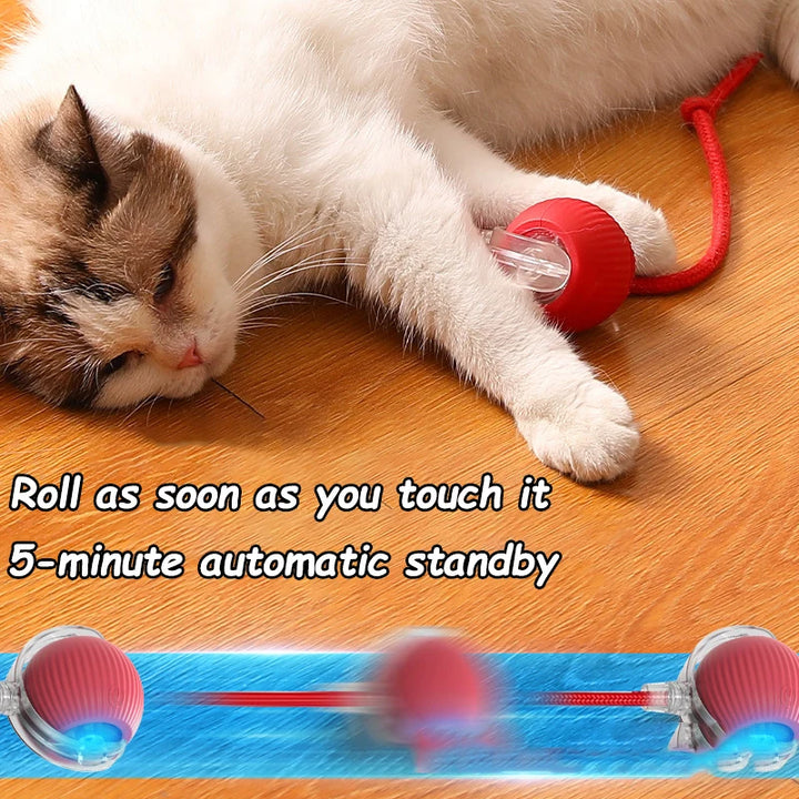 Interactive Cat Toy Ball with Fake Tail - Electric Toy