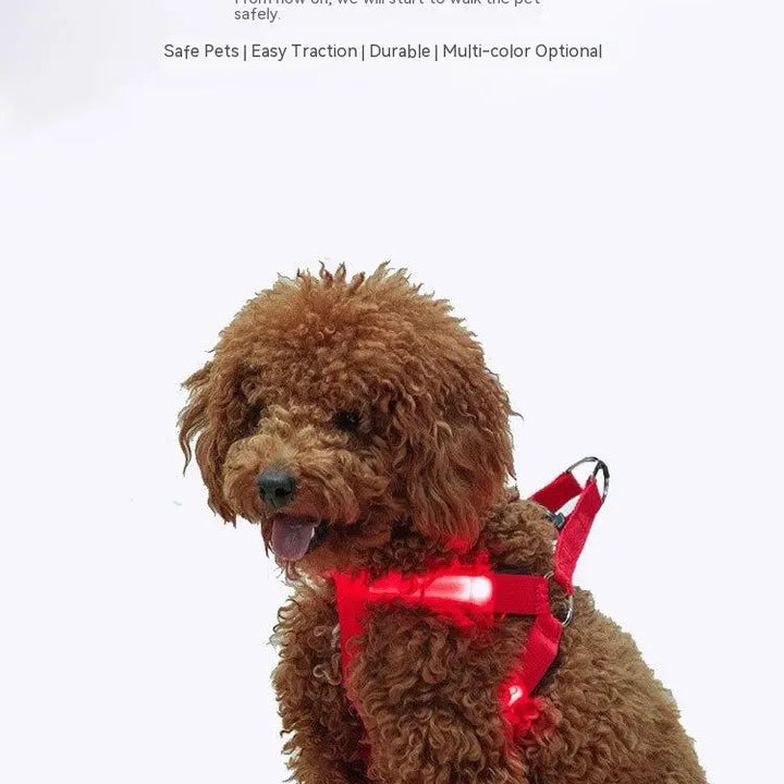 Adjustable LED Dog Harness No Pull Small Medium Glowing Nylon Breast-Band Night Safety Arnes Perro Dropship Pets Dog Accessories