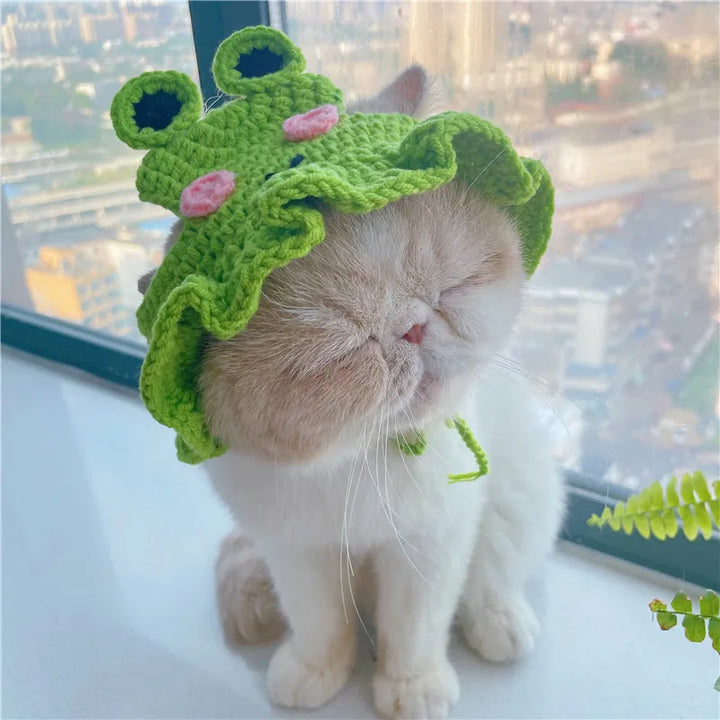 Autumn Winter Cat Hat Elastic Cute Refined Hat