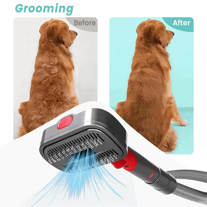 Pet Dog Grooming Kit for Dyson Vacuum Cleaner –