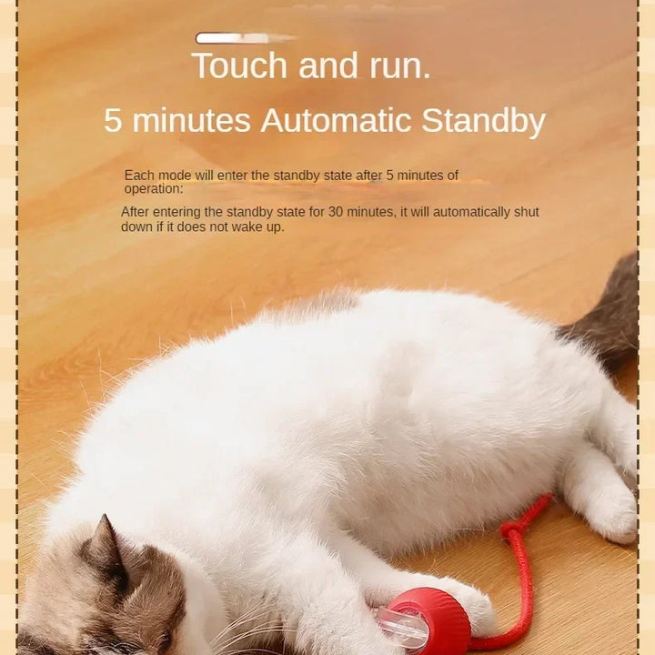 Interactive Cat Toy Ball - Automatic Rolling Ball