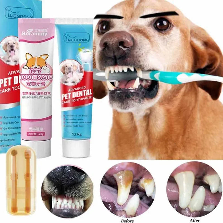 Toothpaste for dogs and cats – tooth cleaning paste