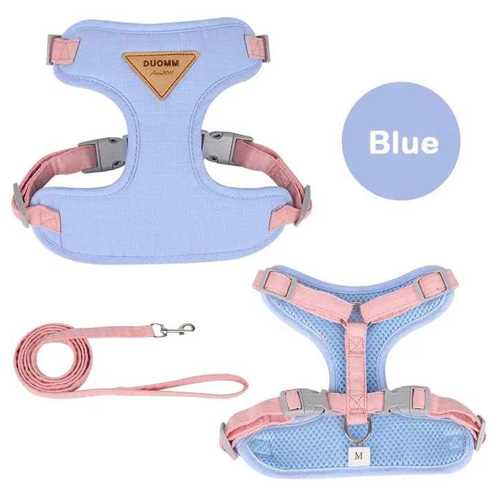 Collar and harness set for small and medium dogs