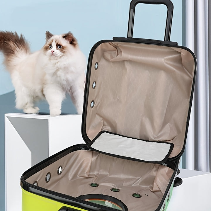 Pet carriers: comfort and safety anywhere approved