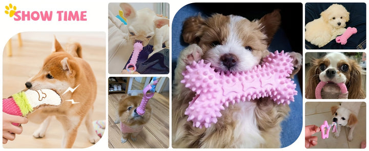 6Pcs Small Breed Pink Puppy Teething Toys Chew Toys