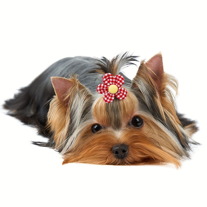 10 Pieces of Cute Dog Hair Bows | For grooming 🐾